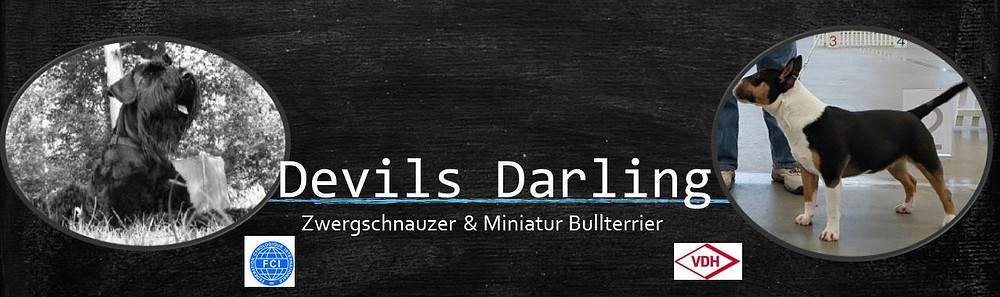 comp_2Devils Darling Banner